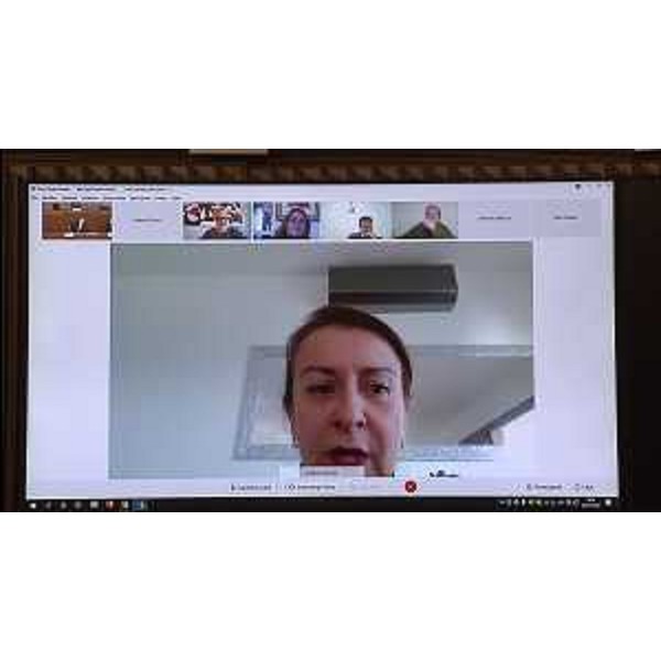 Mara Piccin (FI) in videoconferenza - Mara Piccin (FI) in videoconferenza