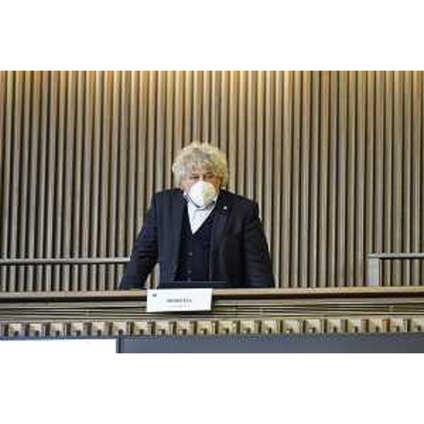 Elia Miani (Lega) - Elia Miani (Lega)