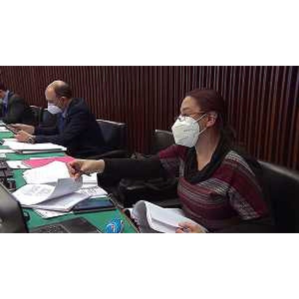 Cristian Sergo e Ilaria Dal Zovo (M5S) - Cristian Sergo e Ilaria Dal Zovo (M5S)