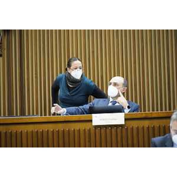 Ilaria Dal Zovo e Cristian Sergo (M5S) - Ilaria Dal Zovo e Cristian Sergo (M5S)