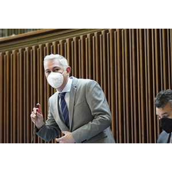 Alessandro Basso (FdI) - Alessandro Basso (FdI)