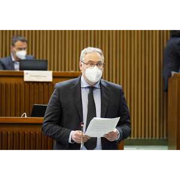 Mauro Bordin, capogruppo della Lega - Mauro Bordin, capogruppo della Lega