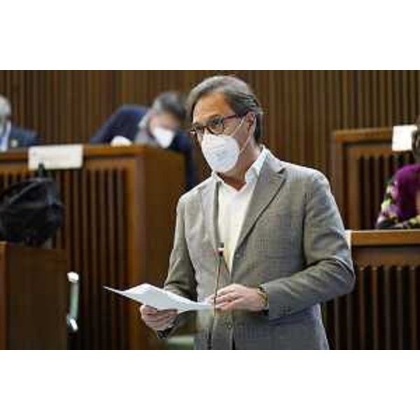 L'intervento di Mauro Di Bert (PrFvg/Ar) - L'intervento di Mauro Di Bert (PrFvg/Ar)