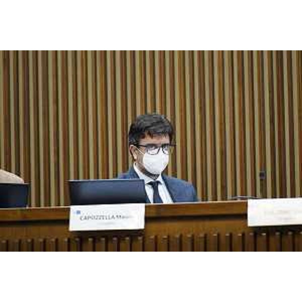 Mauro Capozzella (M5S) - Mauro Capozzella (M5S)