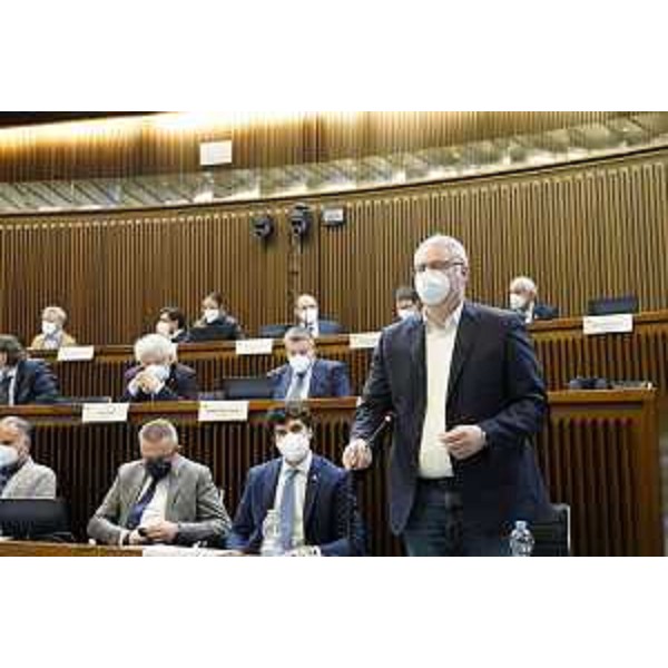 Mauro Bordin, capogruppo della Lega - Mauro Bordin, capogruppo della Lega