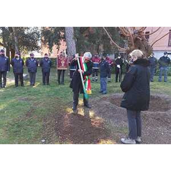 La simbolica piantumazione del gelso da parte del sindaco di Udine, Pietro Fontanini - La simbolica piantumazione del gelso da parte del sindaco di Udine, Pietro Fontanini