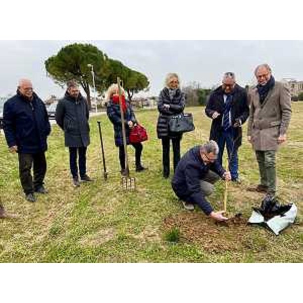 L'assessore regionale alle Risorse forestali Stefano Zannier mentre mette a dimora una pianta nella zona Peep a Spilimbergo - L'assessore regionale alle Risorse forestali Stefano Zannier mentre mette a dimora una pianta nella zona Peep a Spilimbergo