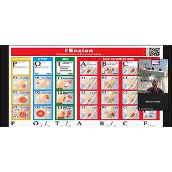 La classificazione Enzian mostrata da Mario Malzoni - La classificazione Enzian mostrata da Mario Malzoni