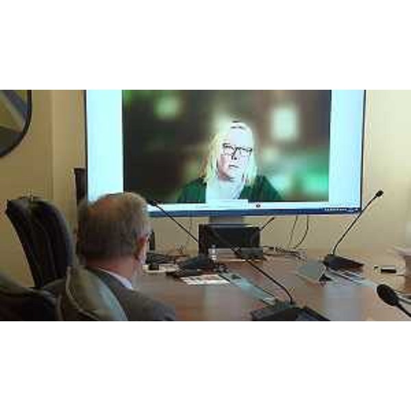 La presidente della Crpo Fvg, Dusy Marcolin, in videoconferenza - La presidente della Crpo Fvg, Dusy Marcolin, in videoconferenza