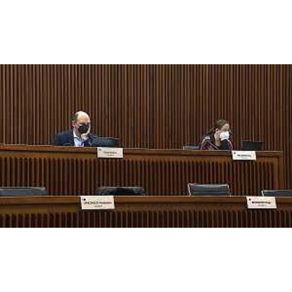 Cristian Sergo e Ilaria Dal Zovo (M5S) - Cristian Sergo e Ilaria Dal Zovo (M5S)