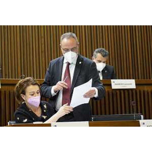 Giuseppe Nicoli (FI) - Giuseppe Nicoli (FI)