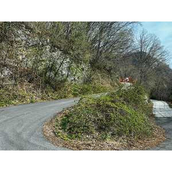 L'accesso della strada interrotta dalla frana sul monte San Simeone. - L'accesso della strada interrotta dalla frana sul monte San Simeone.