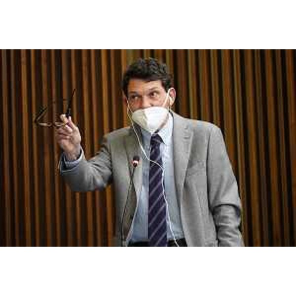 Nicola Conficoni (Pd) - Nicola Conficoni (Pd)