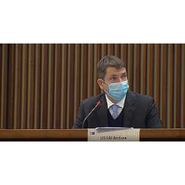 Andrea Ussai (M5S) - Andrea Ussai (M5S)