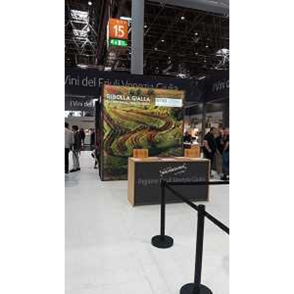 Lo stand del Friuli Venezia Giulia al ProWein di Düsseldorf - Lo stand del Friuli Venezia Giulia al ProWein di Düsseldorf