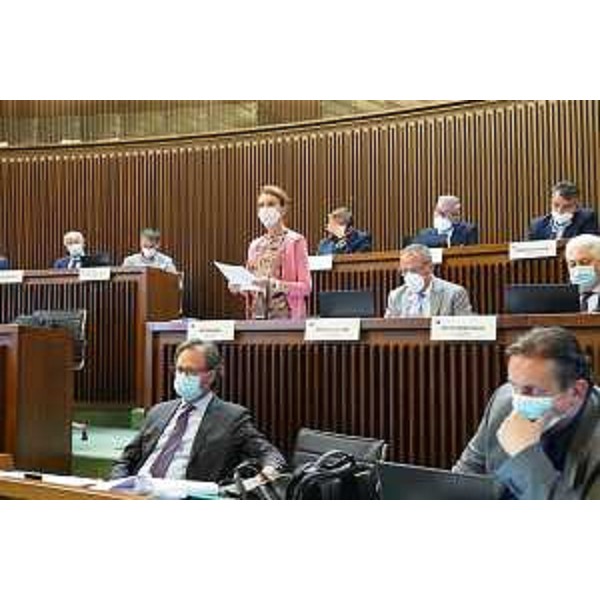 Interventi della Maggioranza - Interventi della Maggioranza