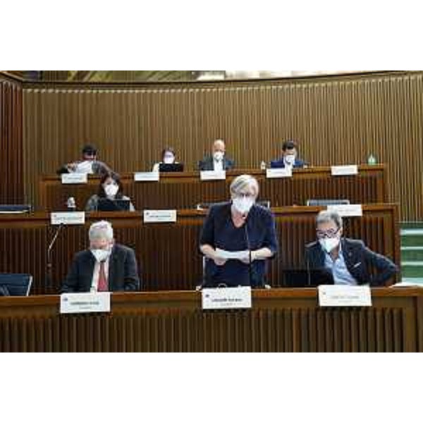 Il consiglieri dei Cittadini nel Cr Fvg - Il consiglieri dei Cittadini nel Cr Fvg