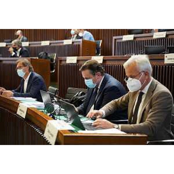 Il gruppo di Progetto Fvg/Ar - Il gruppo di Progetto Fvg/Ar