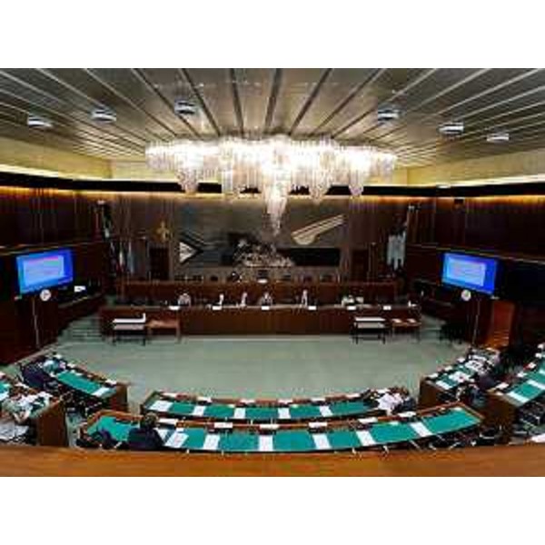 Un momento dei lavori della III Commissione permanente - Un momento dei lavori della III Commissione permanente