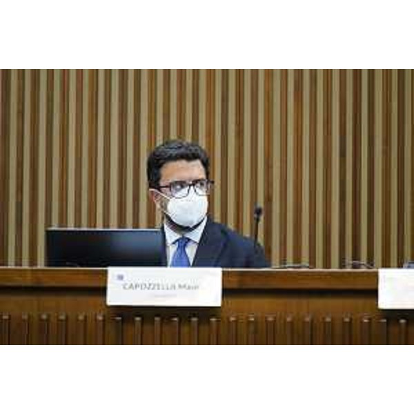 Mauro Capozzella (M5S) - Mauro Capozzella (M5S)