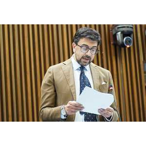 Mauro Capozzella (M5S) - Mauro Capozzella (M5S)