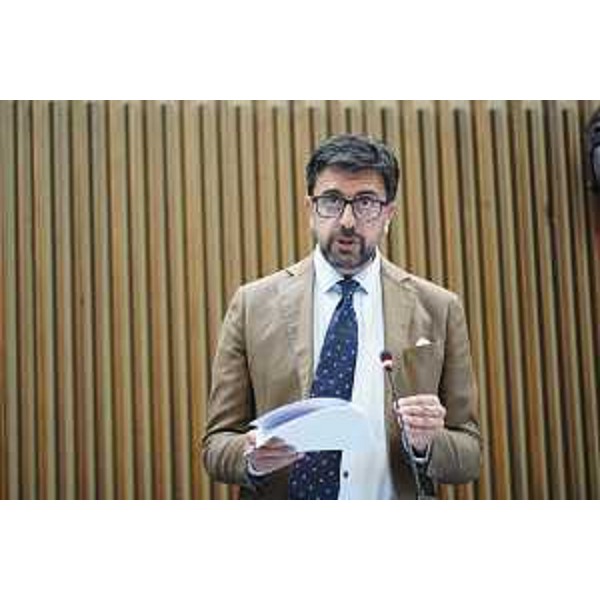 Mauro Capozzella (M5S) - Mauro Capozzella (M5S)