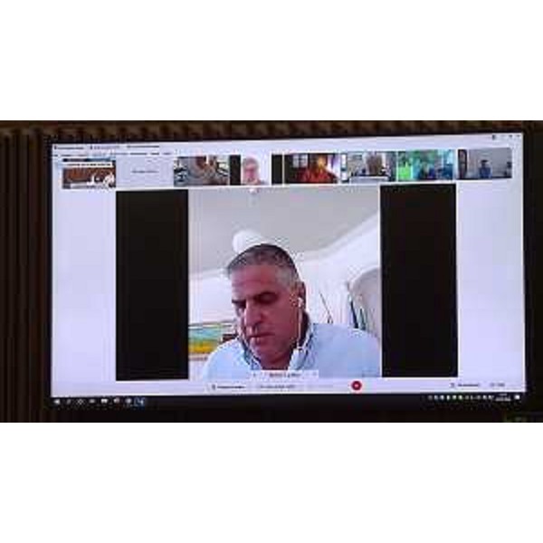 Alcuni degli auditi in modalità telematica - Alcuni degli auditi in modalità telematica