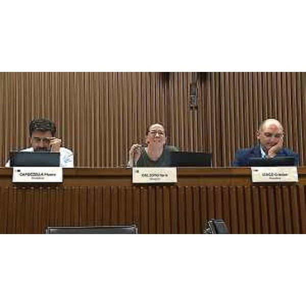 Ilaria Dal Zovo (M5S) assieme ai colleghi Mauro Capozzella (a sin.) e Cristian Sergo - Ilaria Dal Zovo (M5S) assieme ai colleghi Mauro Capozzella (a sin.) e Cristian Sergo