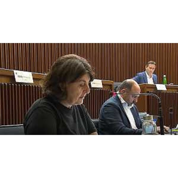 Mariagrazia Santoro e Diego Moretti (Pd) - Mariagrazia Santoro e Diego Moretti (Pd)