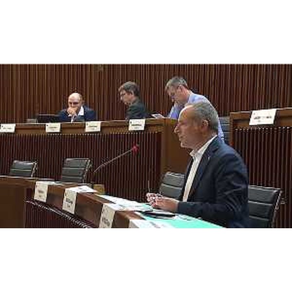 Giuseppe Nicoli (FI) - Giuseppe Nicoli (FI)