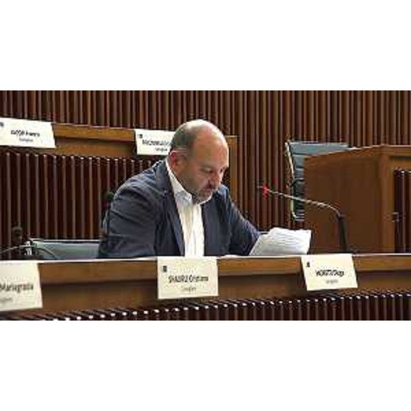 Diego Moretti (Pd) - Diego Moretti (Pd)