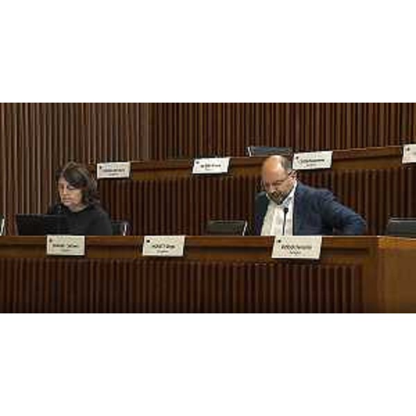 Diego Moretti, capogruppo del Pd, accanto alla collega di gruppo Mariagrazia Santoro - Diego Moretti, capogruppo del Pd, accanto alla collega di gruppo Mariagrazia Santoro