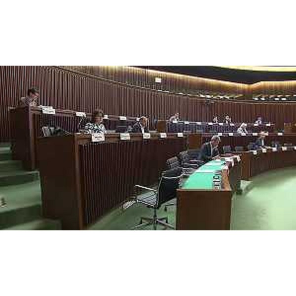 La IV Commissione permanente riunita in aula a Trieste - La IV Commissione permanente riunita in aula a Trieste