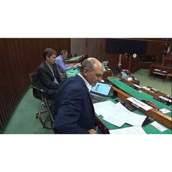 Cristian Sergo (M5S) - Cristian Sergo (M5S)