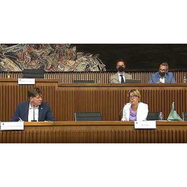 Il presidente della II Commissione, Alberto Budai (Lega), con l'assessore regionale Barbara Zilli - Il presidente della II Commissione, Alberto Budai (Lega), con l'assessore regionale Barbara Zilli