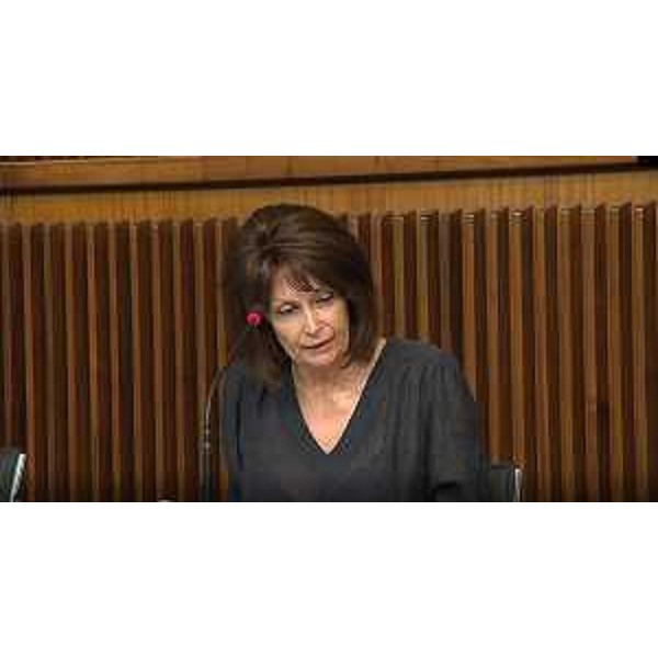 L'assessore regionale Alessia Rosolen - L'assessore regionale Alessia Rosolen