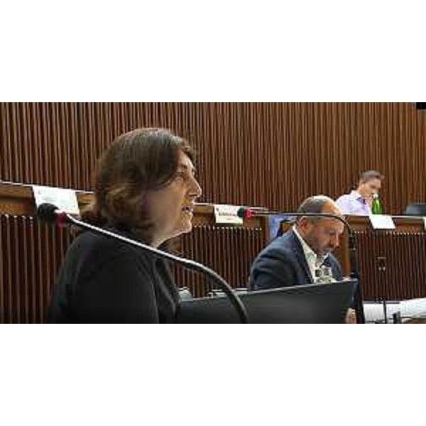 Mariagrazia Santoro e Diego Moretti (Pd) - Mariagrazia Santoro e Diego Moretti (Pd)