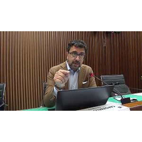Mauro Capozzella (M5S) - Mauro Capozzella (M5S)
