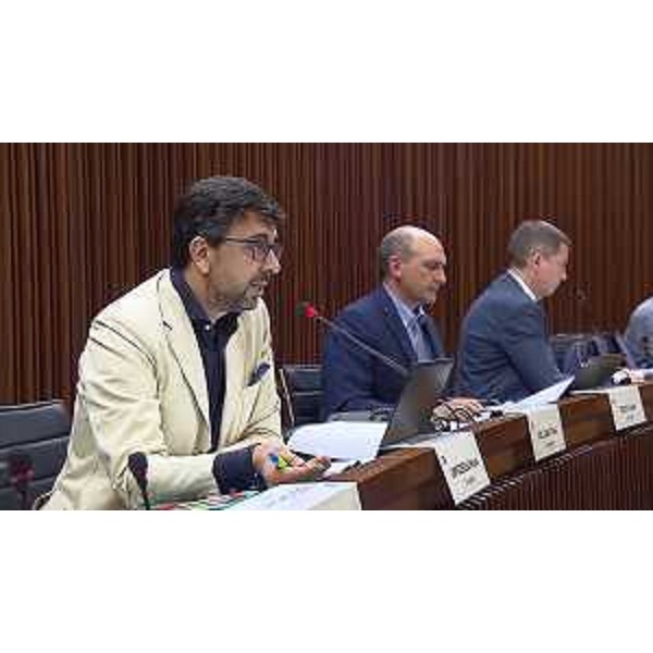 Mauro Capozzella (M5S) - Mauro Capozzella (M5S)