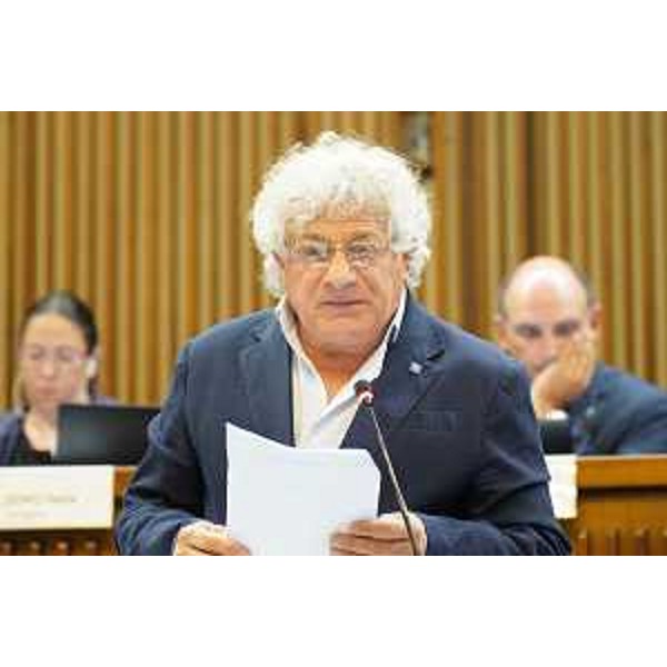 Elia Miani (Lega) - Elia Miani (Lega)