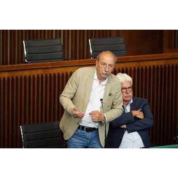 Gino Gregoris (Efasce) - Gino Gregoris (Efasce)