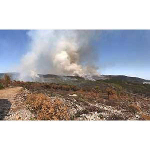 Una veduta del fumo provocato dal rogo sul carso triestino - Una veduta del fumo provocato dal rogo sul carso triestino