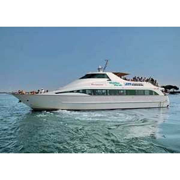 La motonave Delfino verde che effettuerà il servizio di spola tra Trieste e Monfalcone - La motonave Delfino verde che effettuerà il servizio di spola tra Trieste e Monfalcone