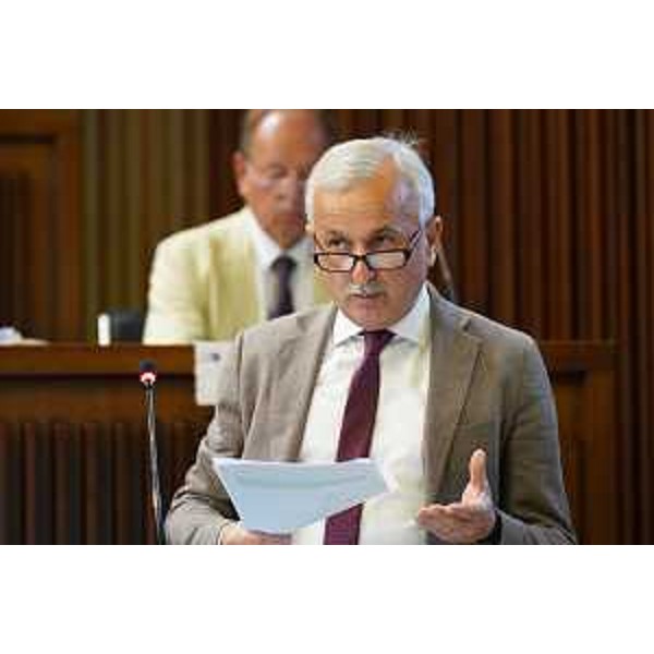 Giuseppe Sibau (Progetto Fvg/Ar) - Giuseppe Sibau (Progetto Fvg/Ar)