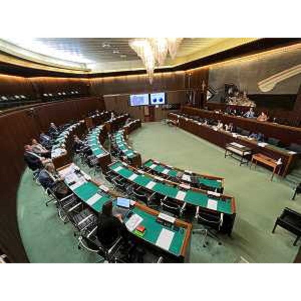 Interventi in videoconferenza durante i lavori della II Commissione - Interventi in videoconferenza durante i lavori della II Commissione