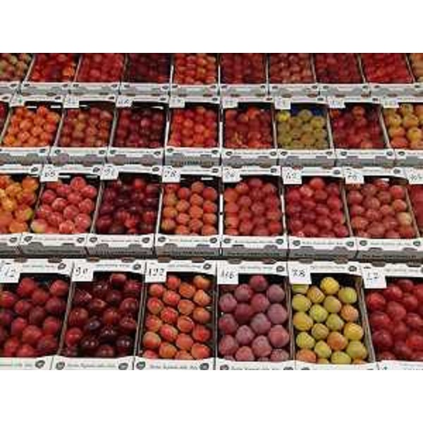 Le mele esposte alla Mostra regionale di Pantianicco - Le mele esposte alla Mostra regionale di Pantianicco