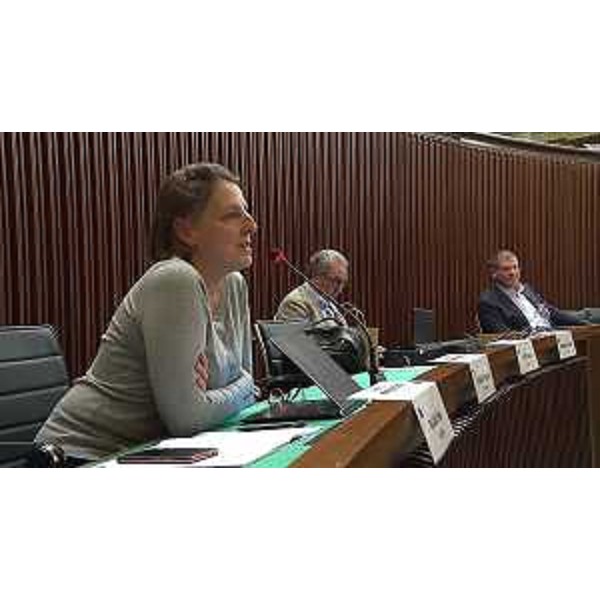 Chiara Da Giau, Sergio Bolzonello (Pd), Marko Pisani (Ssk) - Chiara Da Giau, Sergio Bolzonello (Pd), Marko Pisani (Ssk)