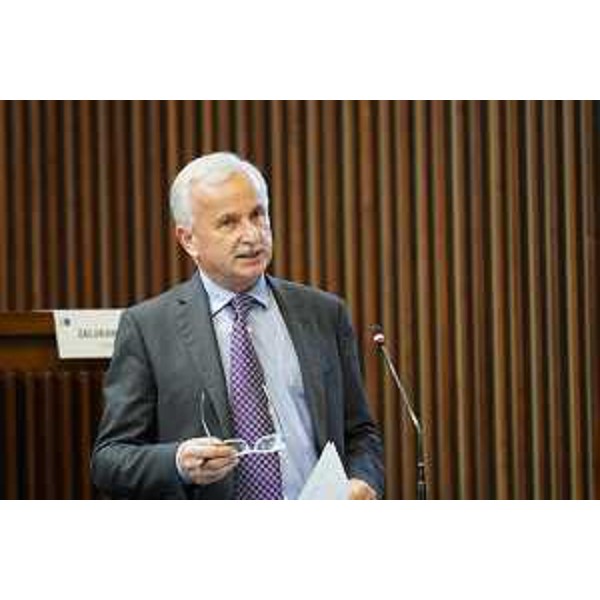 Giuseppe Sibau ( Progetto Fvg per una Regione Speciale/Ar) - Giuseppe Sibau ( Progetto Fvg per una Regione Speciale/Ar)