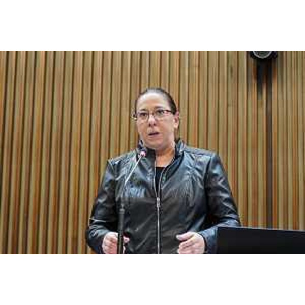 Ilaria Dal Zovo (M5S) - Ilaria Dal Zovo (M5S)