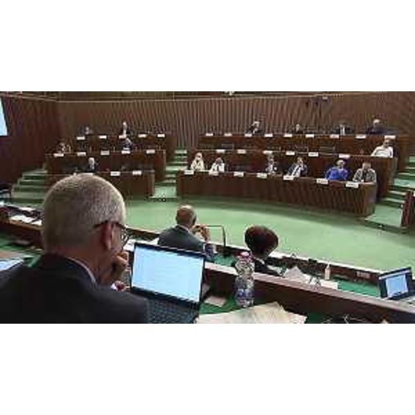 Un momento dell'audizione in III Commissione - Un momento dell'audizione in III Commissione